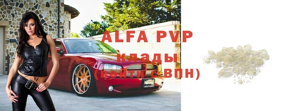 крисы Алзамай