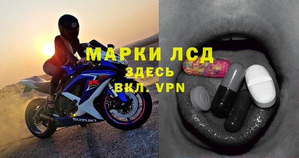 PSILOCYBIN Новозыбков