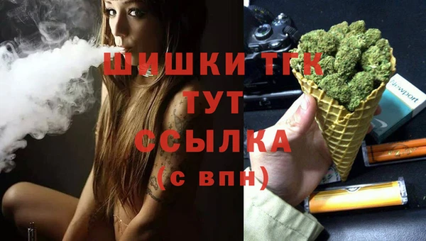 PSILOCYBIN Новозыбков