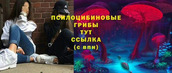 крисы Алзамай