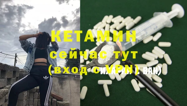 крисы Алзамай